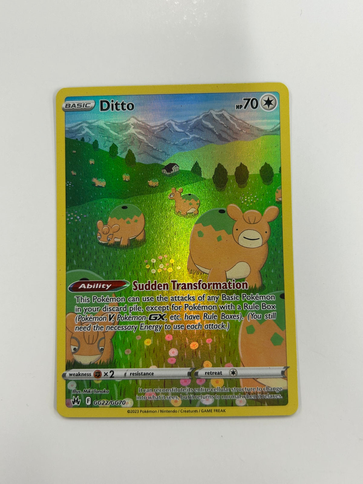 Ditto GG22/GG70