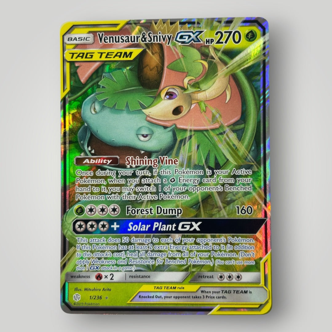 Venusaur & Snivy 1/236 (LP)