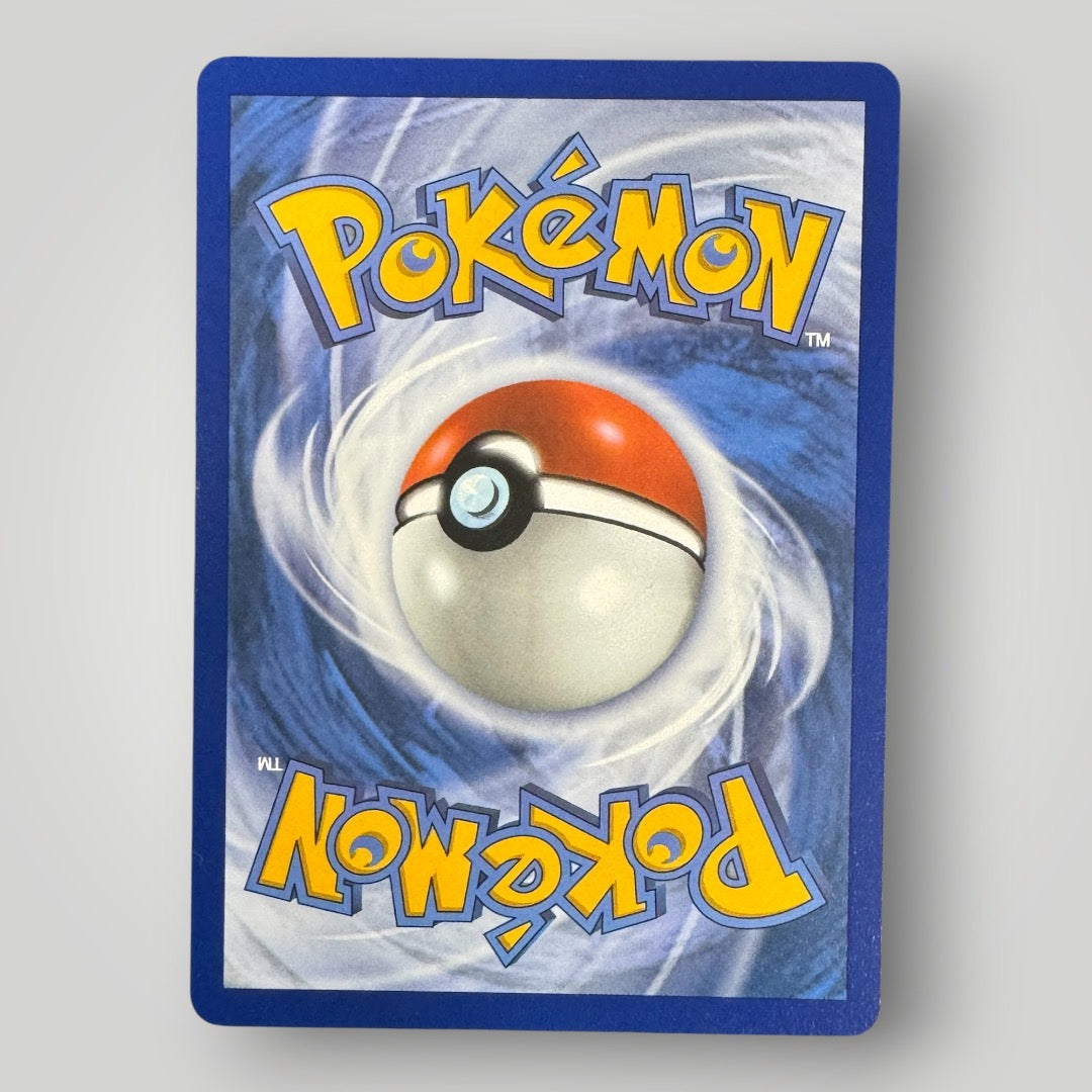 Mudkip 057