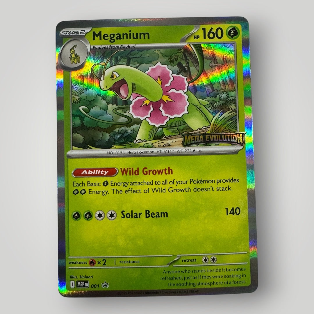 Meganium 001